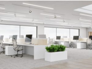 Nachhaltige Bambusstäbchen Beschaffung Strategien für reduzierte Umweltbelastung und Kostenoptimierung