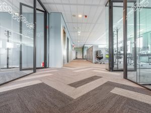 Entscheidende Holzauswahl für professionelle Zahnstocher zwischen Birke, Bambus und Pappel